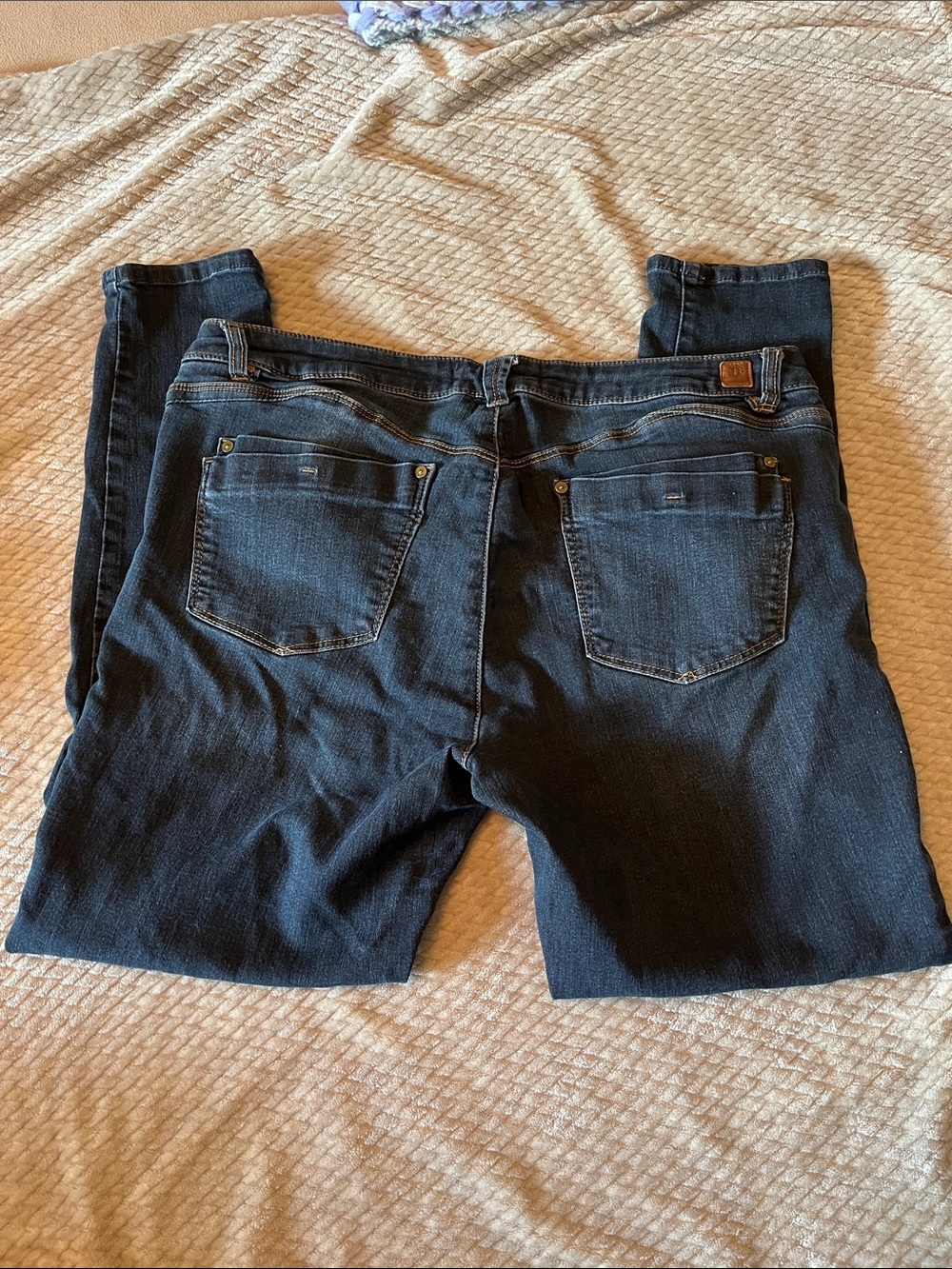 Democracy Indigo Stretch Jeggings with Contrast Stitching